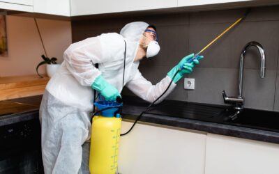 Your Ultimate Guide to a Pest Free Home